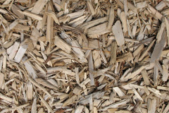biomass boilers Venny Tedburn
